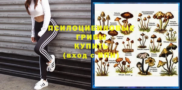 дмт Алексин