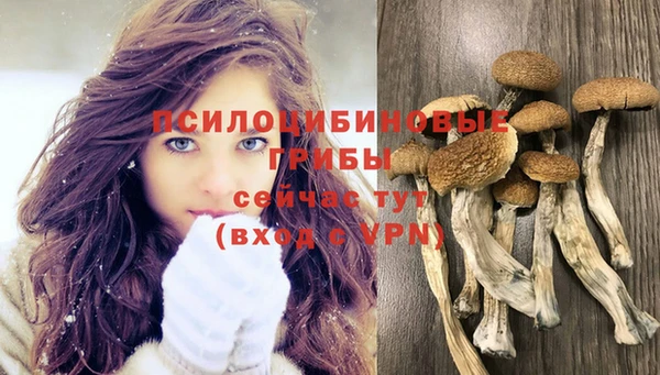 гашиш Арсеньев