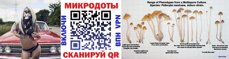 Галлюциногенные грибы прущие грибы  Ува 